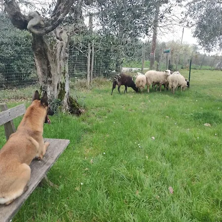 Agriturismo Podere Ruggeri * Molino del Piano