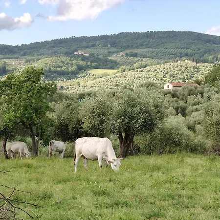 Agriturismo Podere Ruggeri Κατάλυμα σε φάρμα *